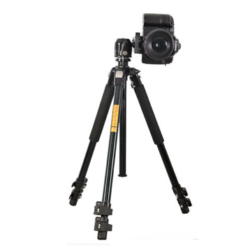 Chân máy ảnh chuyên nghiệp BK QZ304